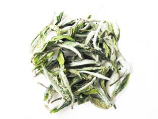 Pai Mu Tan Tea | Peony White Tea